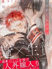 人物图鉴第04号标本纸 新人学员角色位压片